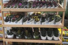 IMG-20200506-WA0000