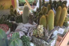 IMG-20200506-WA0003