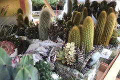 IMG-20200506-WA0004