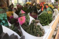 IMG-20200506-WA0005