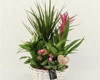 CESTO-TONDO-mix-