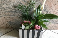 cassetta-legno-